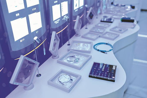 AI拼才會(huì)贏 福建開(kāi)啟“數(shù)字絲路”智能科技新征程